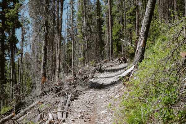Hughes Creek