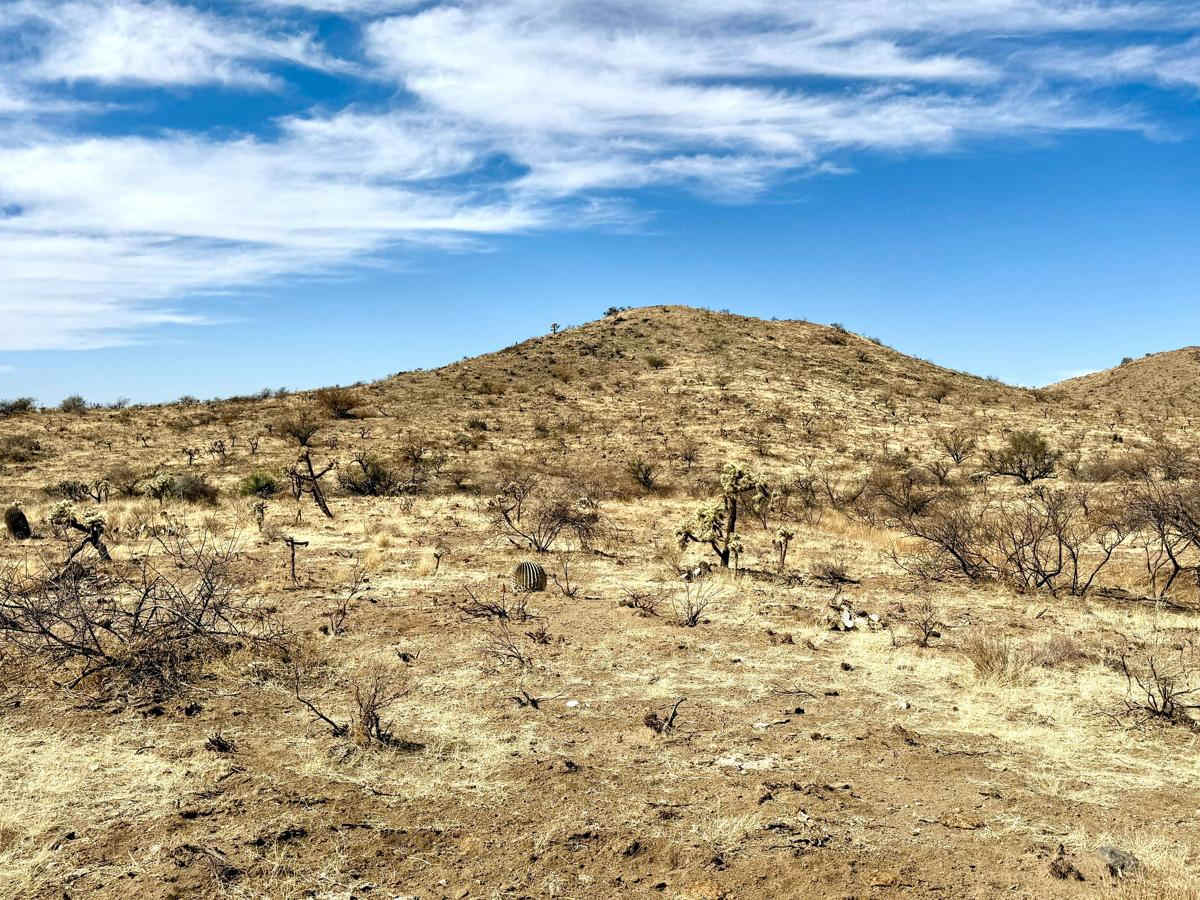 M0776 trail photo