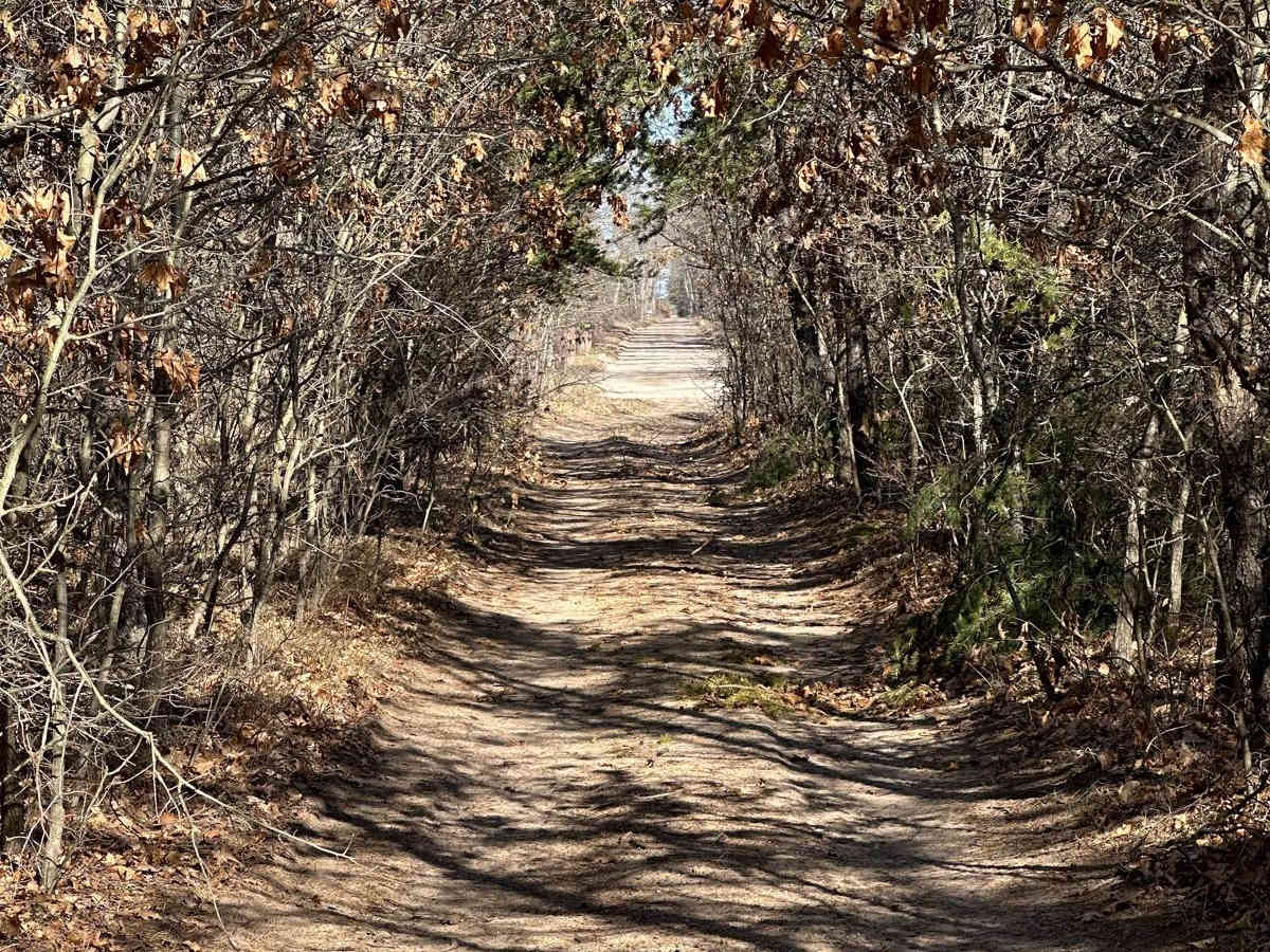 Pine Road photo 4