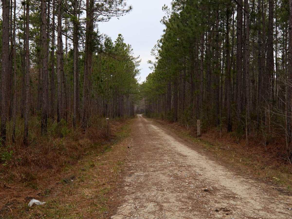 Bennett Branch Road - FSR182 photo 2