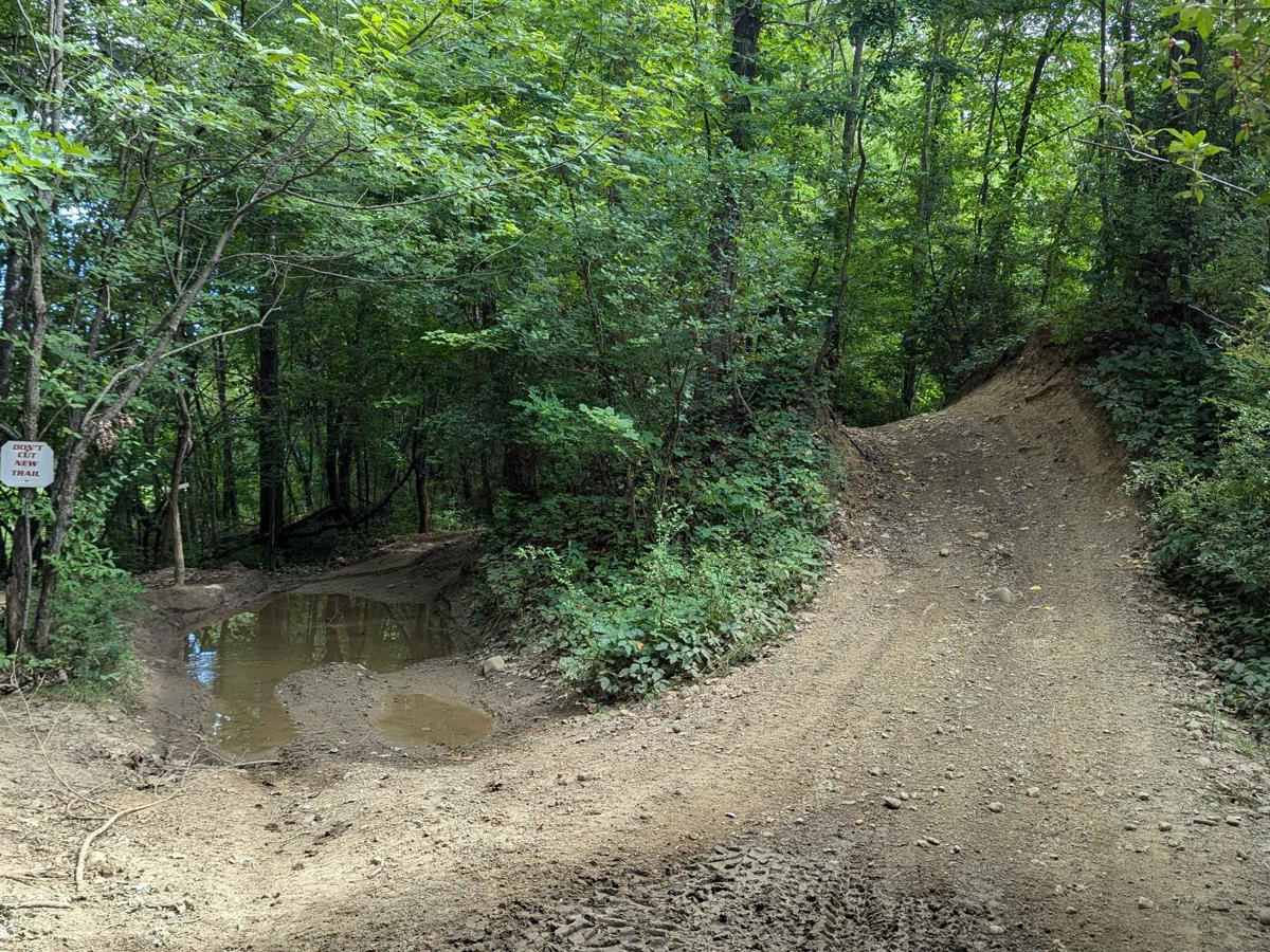Border Trail (Part 1) photo 6