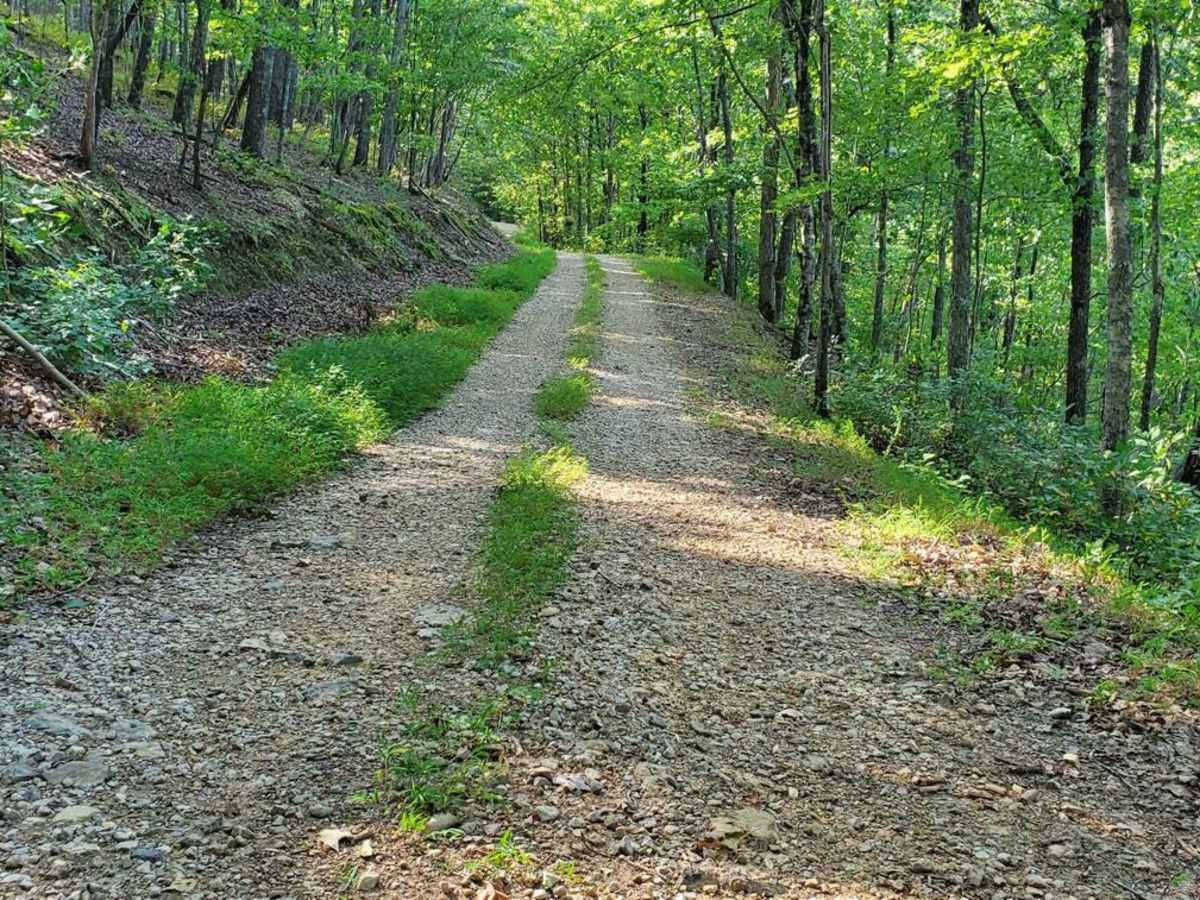 Hammond Gap - FSR 259 photo 3