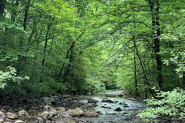 Brushy Creek