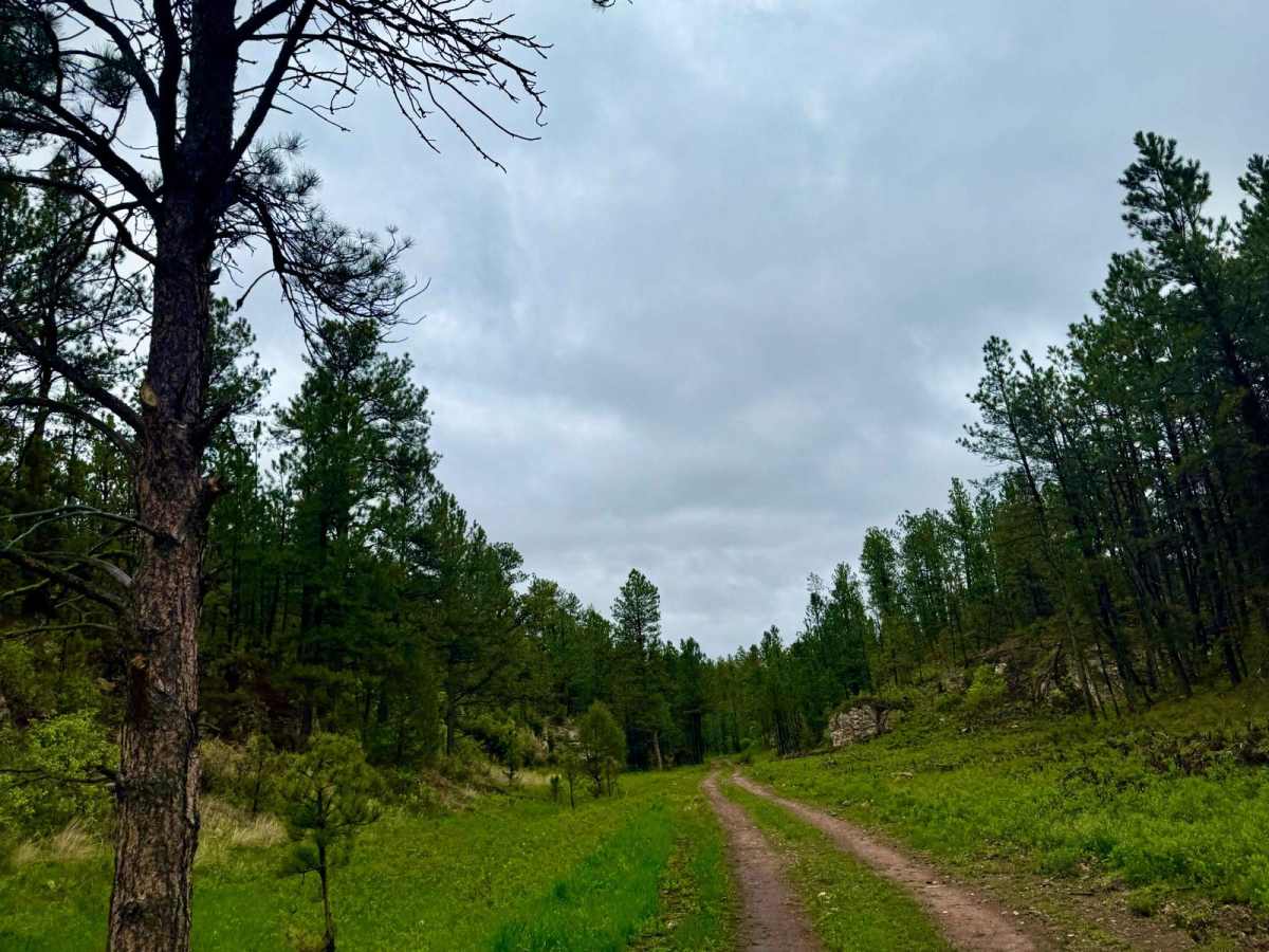 Tepee Branch Road - FS 271.1A photo 6