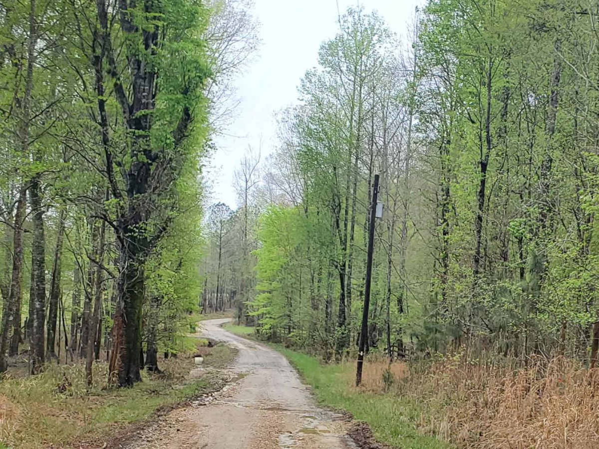 Davenport (687) trail photo