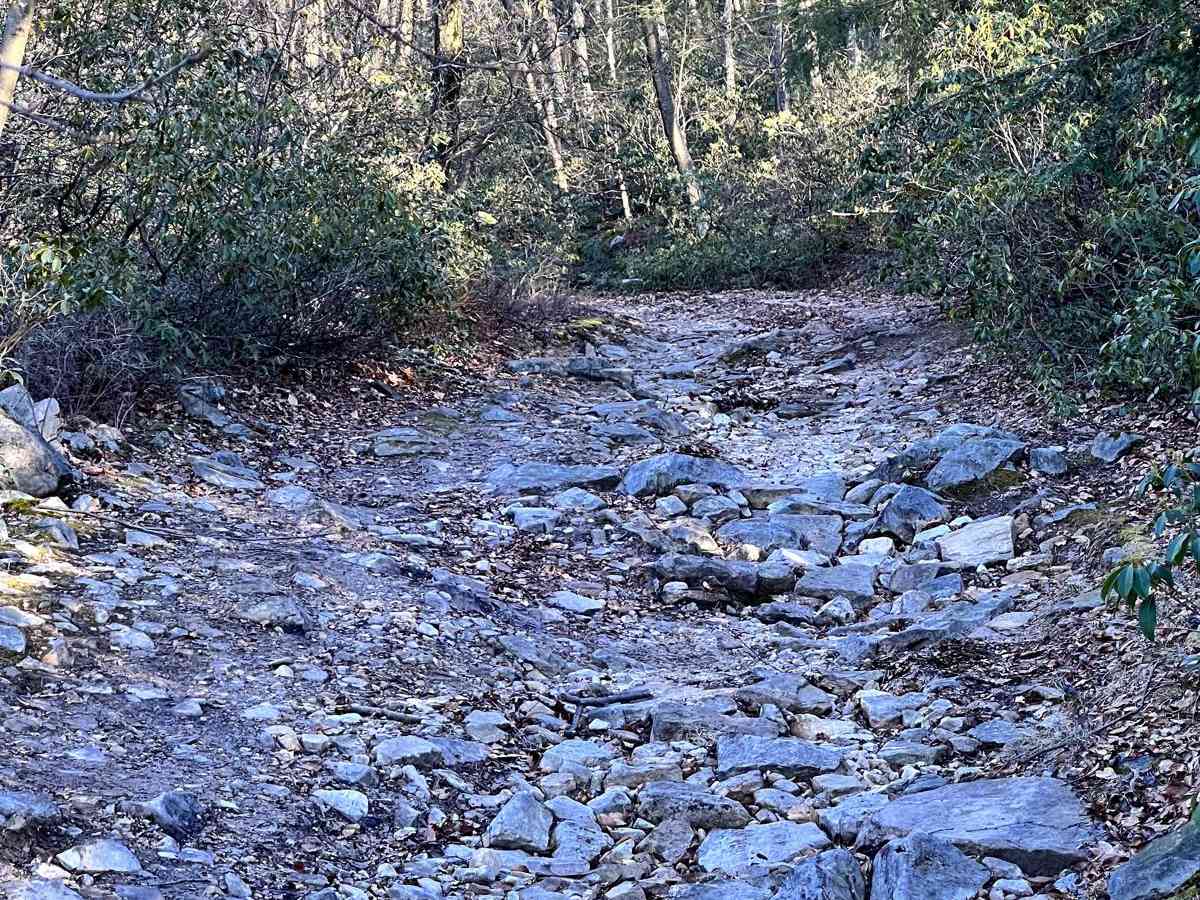 Sharpback Hollow Road photo 6