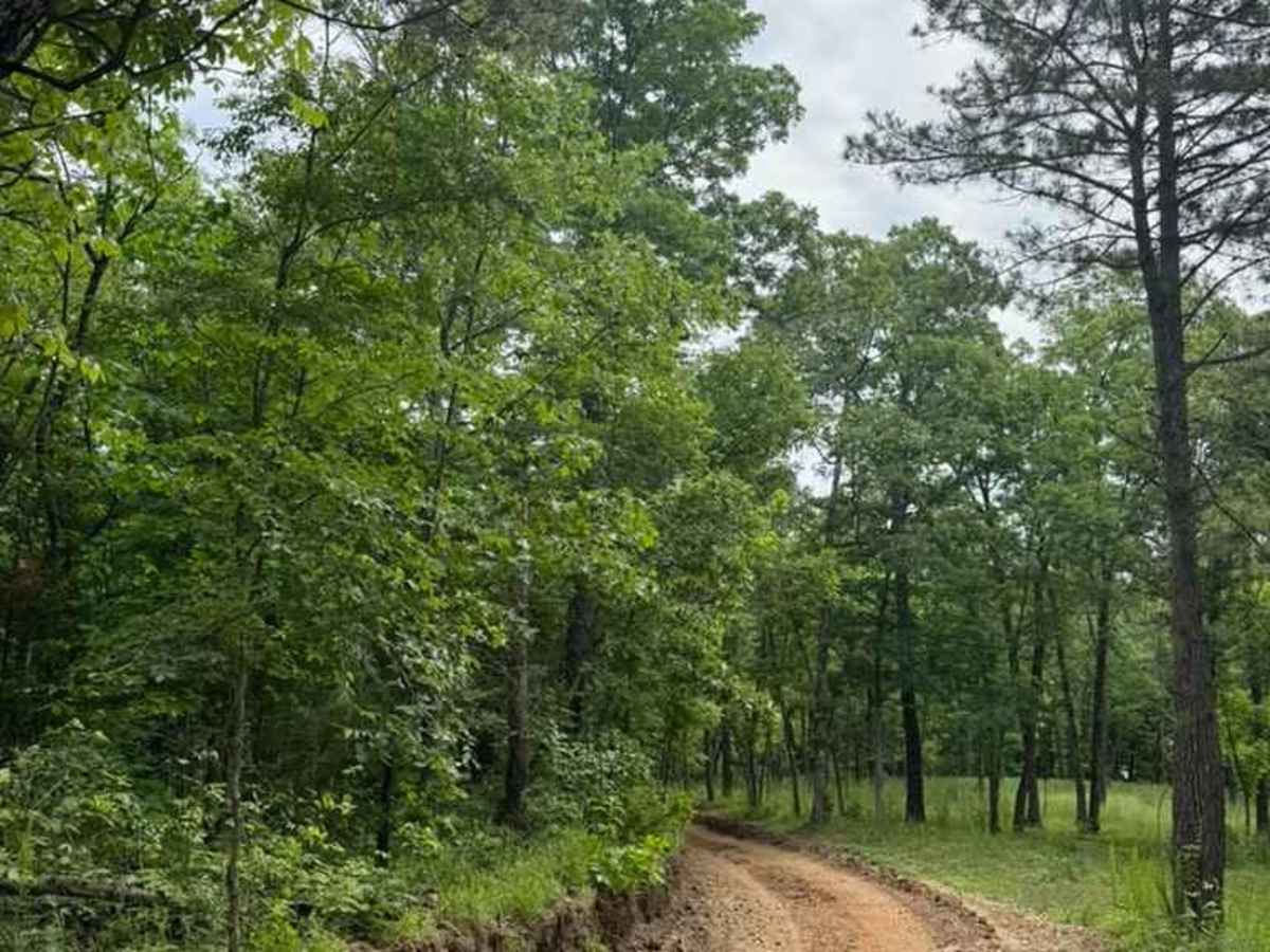 Mimi's Trail photo 5