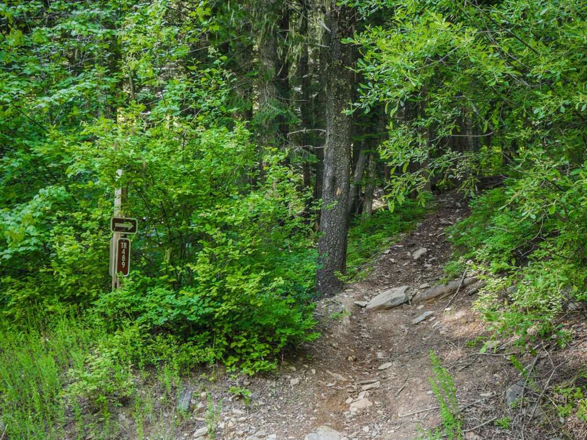Hammond Kyle Divide trail photo