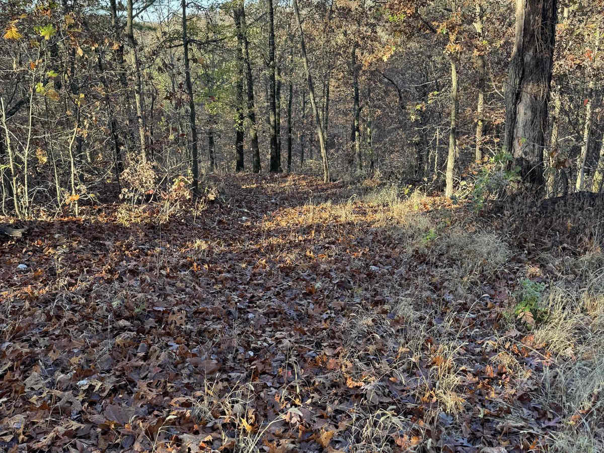 Yellow 117 trail photo