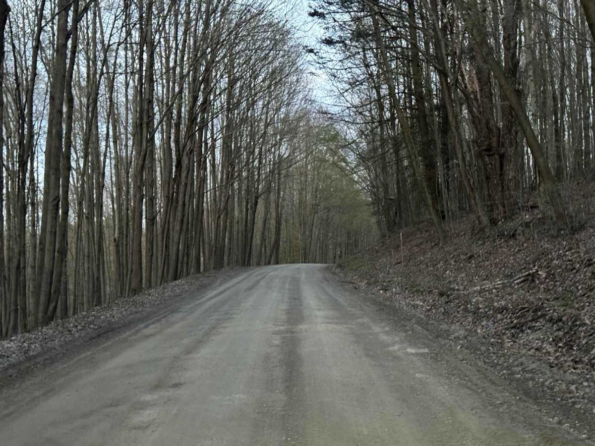 Tripp Lake Road photo 4