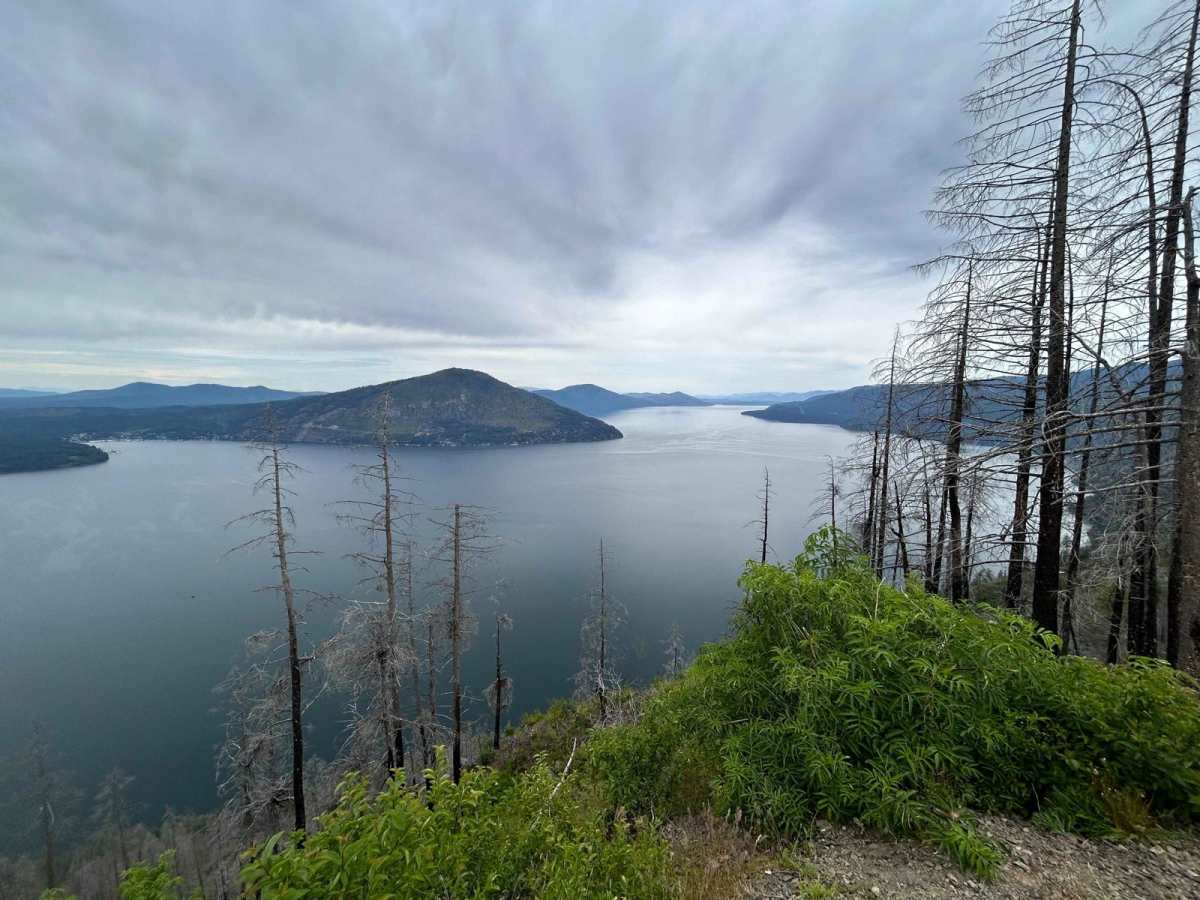 West Gold trail photo