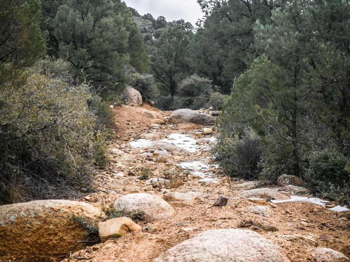 BLM Route 7125 photo 5