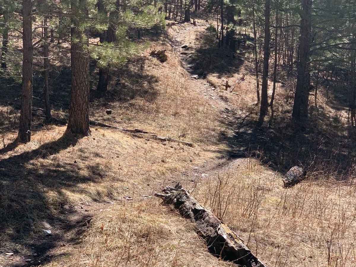 Merrit Peak Central to SE Leg photo 3