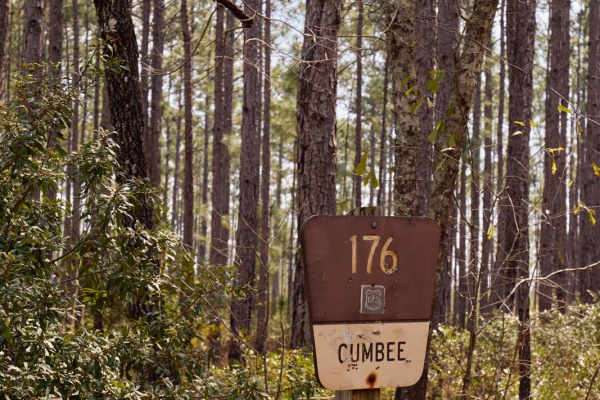 Cumbee - FSR176