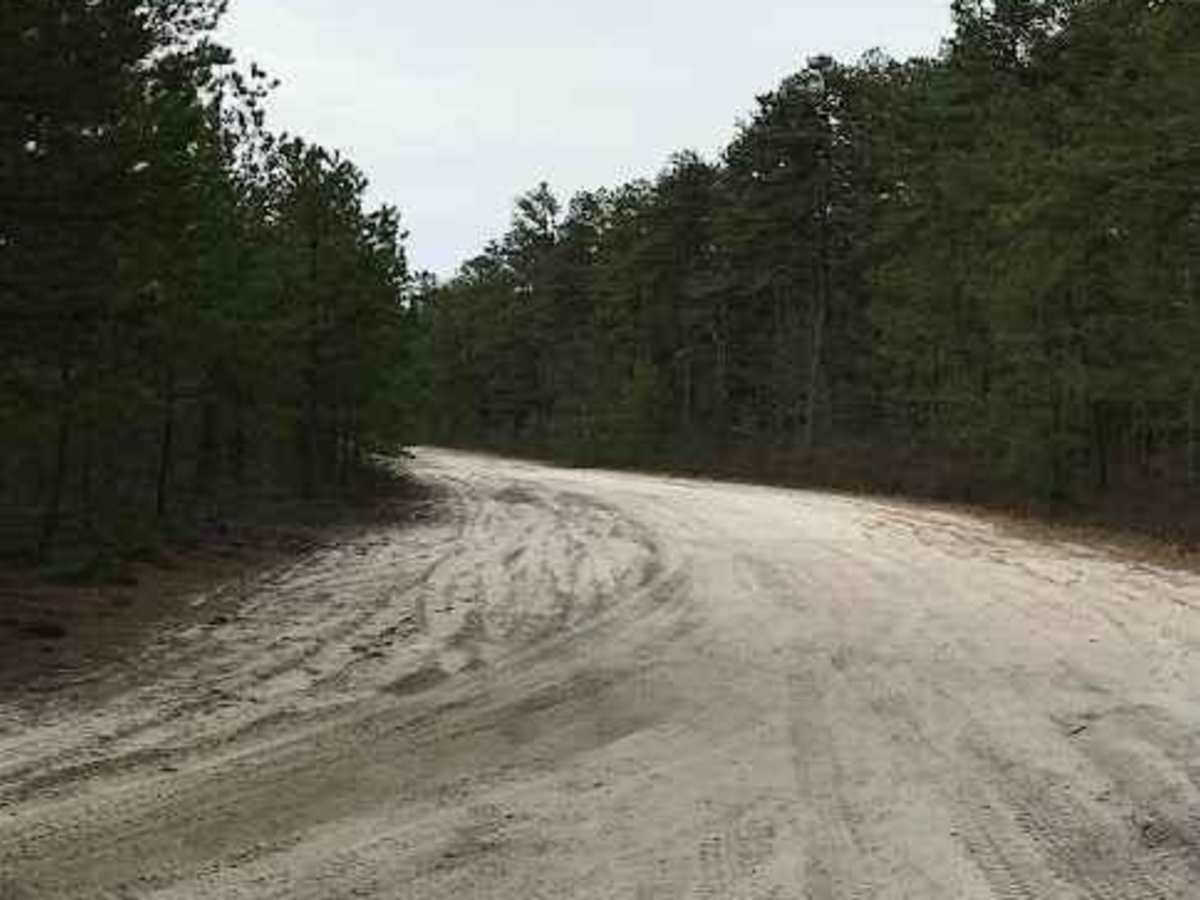 Eagle Trail photo 6