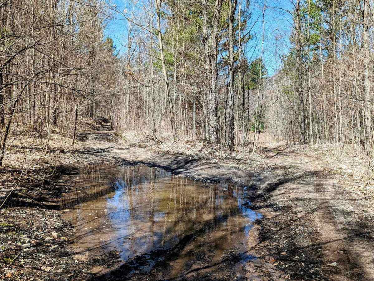 Charlevoix / Booth Lake photo 5