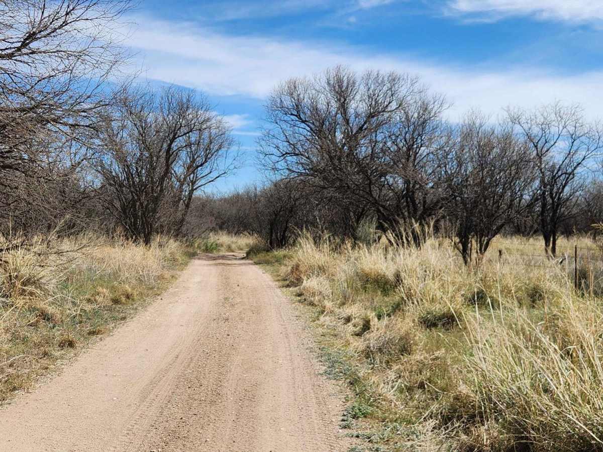 Andrada Tank Loop FR 6905 photo 4