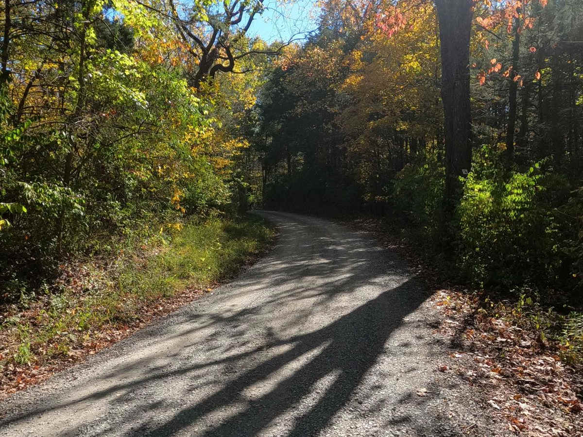 Bork Falls Road photo 6