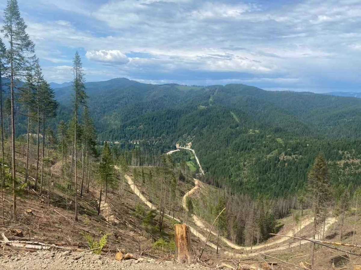 620 Character Ridge Road trail photo