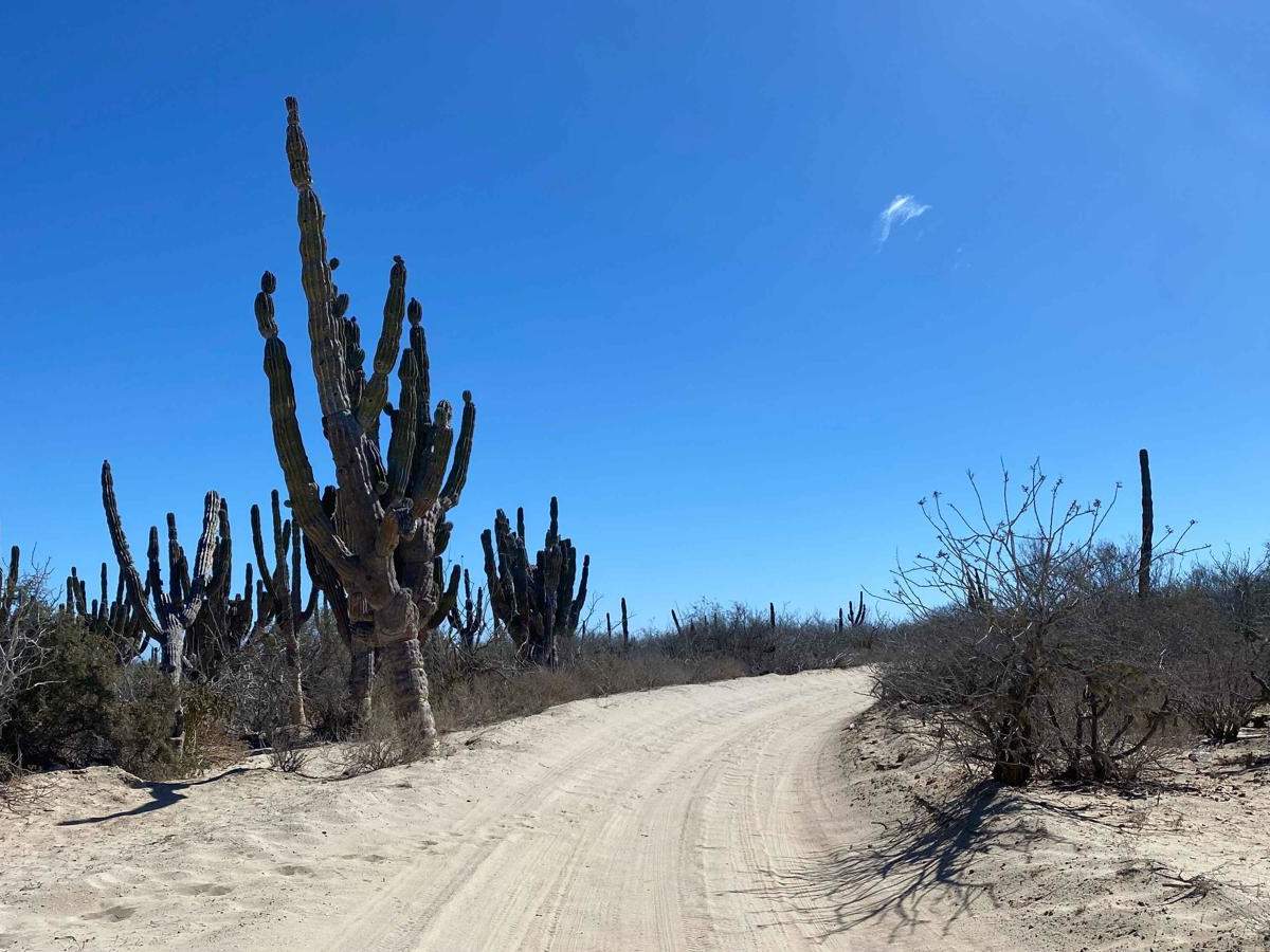 South of Reforma Agraria trail photo