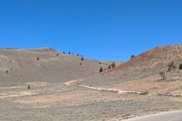 White Mountain Road