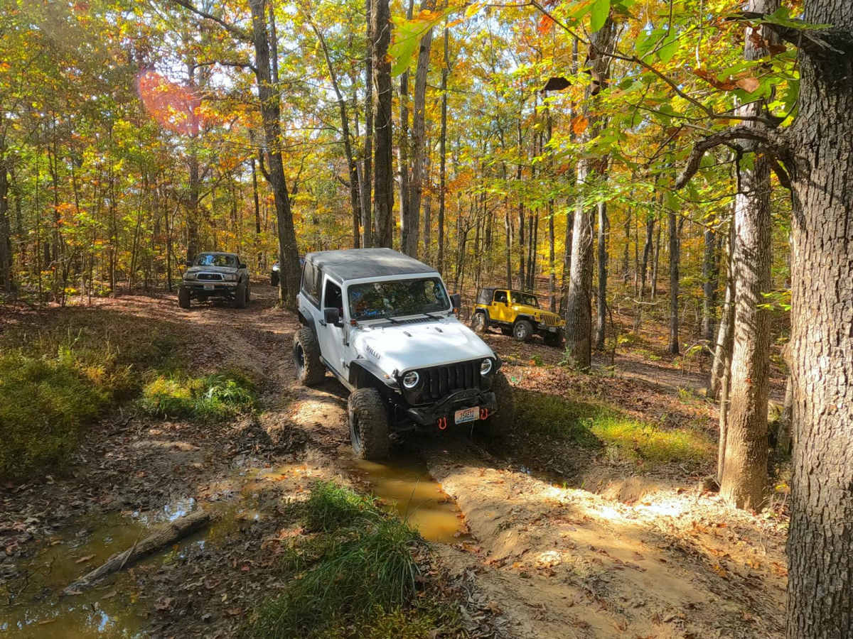 Kelsie Road - FS 308 trail photo
