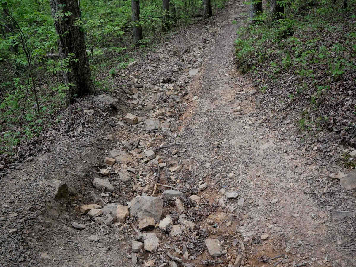 W trail photo