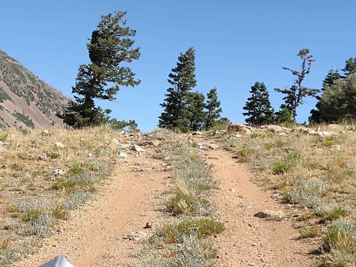 Cottonwood Canyon Overlook photo 4