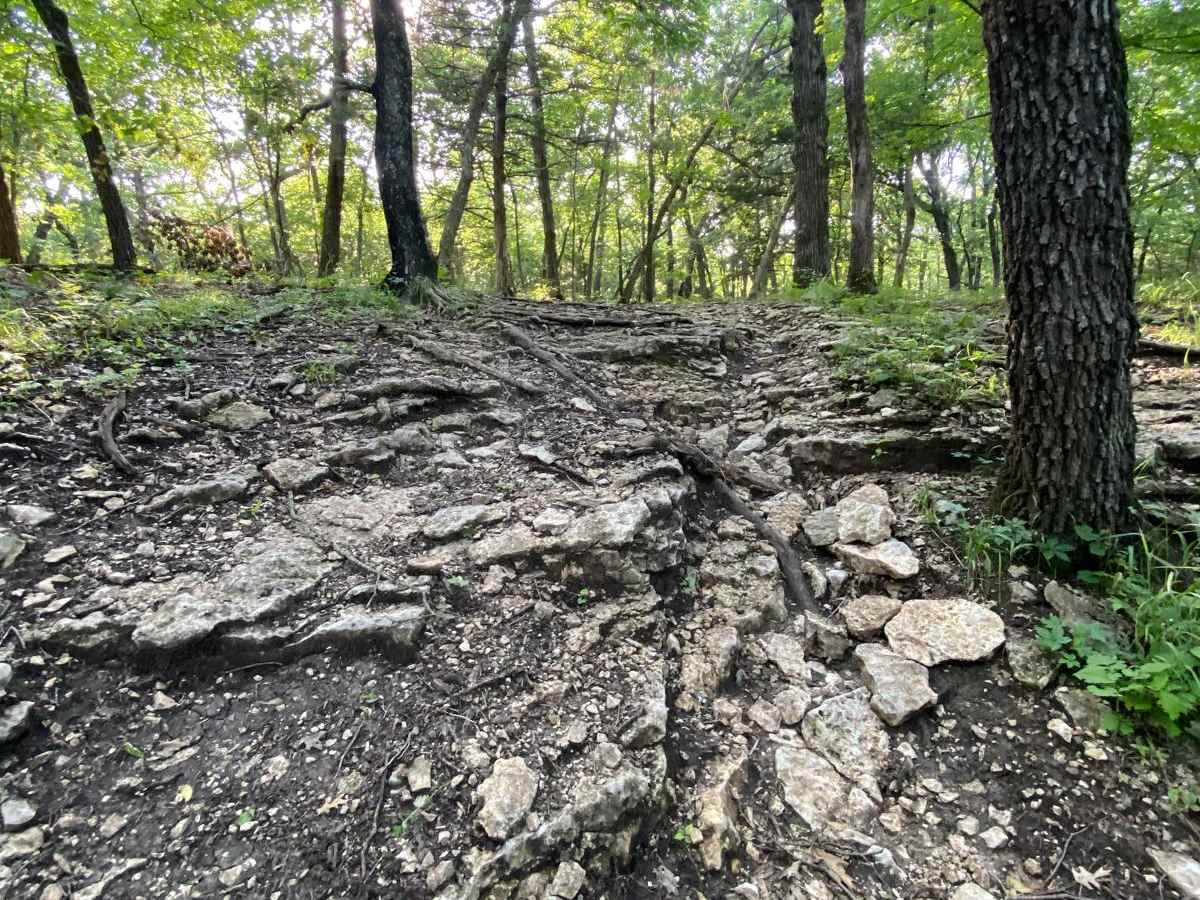 Cloepfil's Climb photo 2
