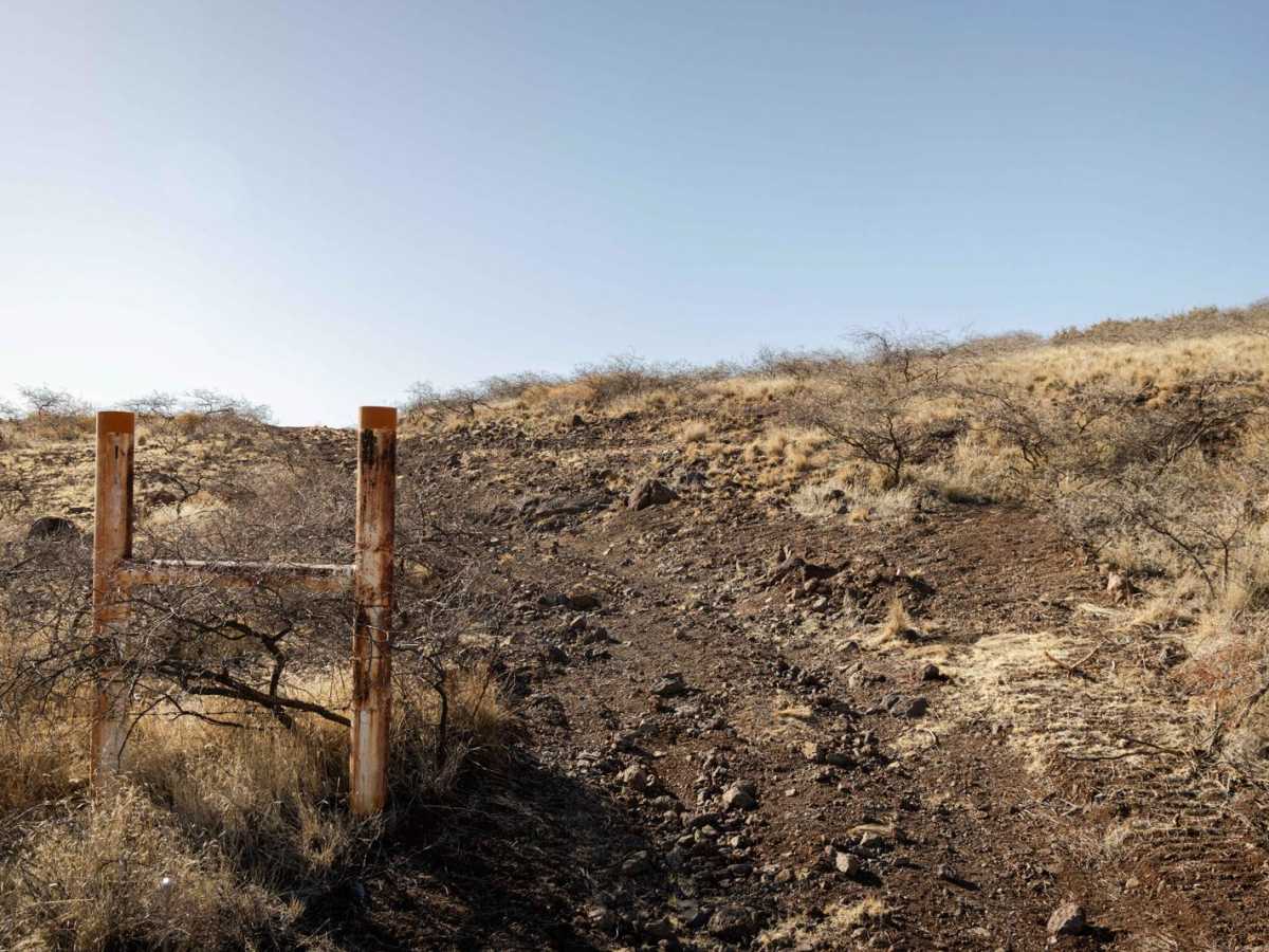 Bc1098 trail photo