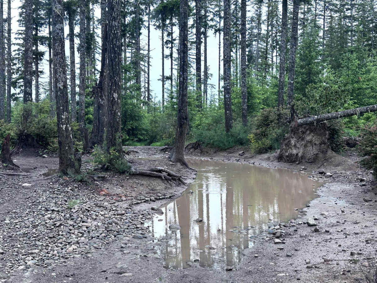 Low Road Trail photo 3