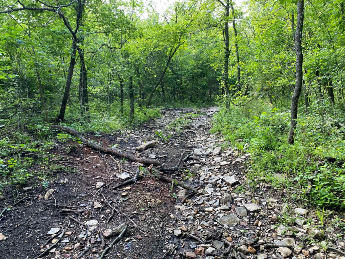 Bridge Trail photo 5