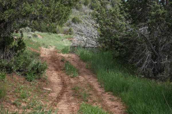 Knoll Hollow ATV Trail