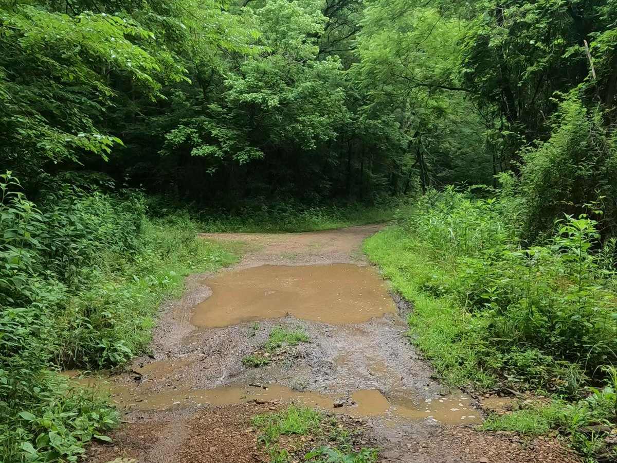 Crutcher Hollow Road FS 213 photo 6