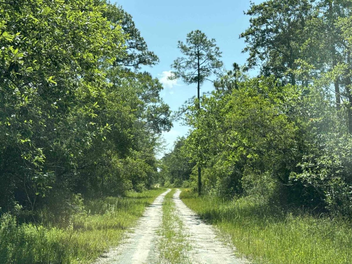 Dry Bridge Road photo 2