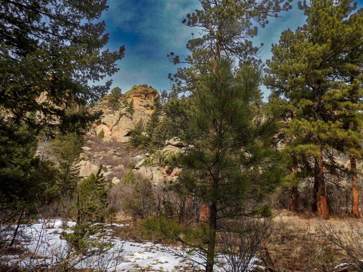 BLM 6045 photo 4
