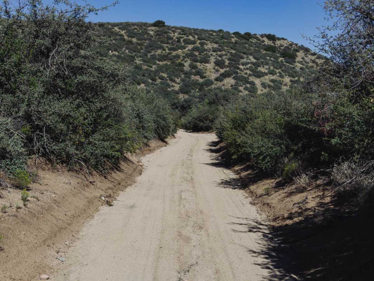 McNary Mine Road photo 4