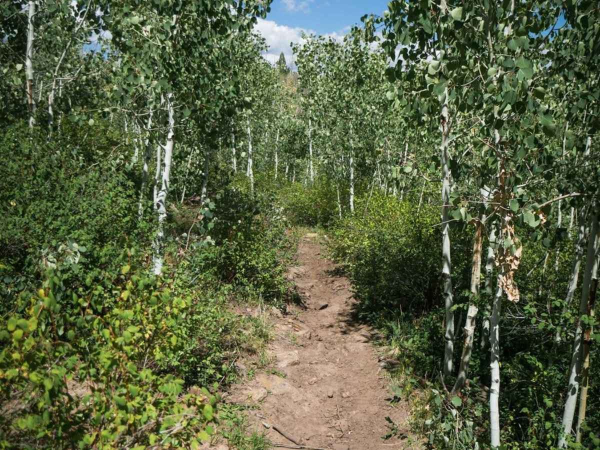Morrison Trail (Part 2) photo 3