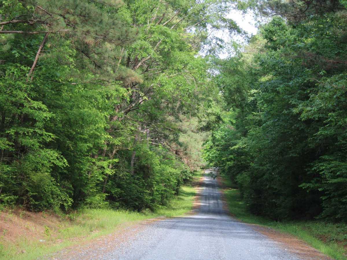 North Shore Drive on Corney Lake photo 4