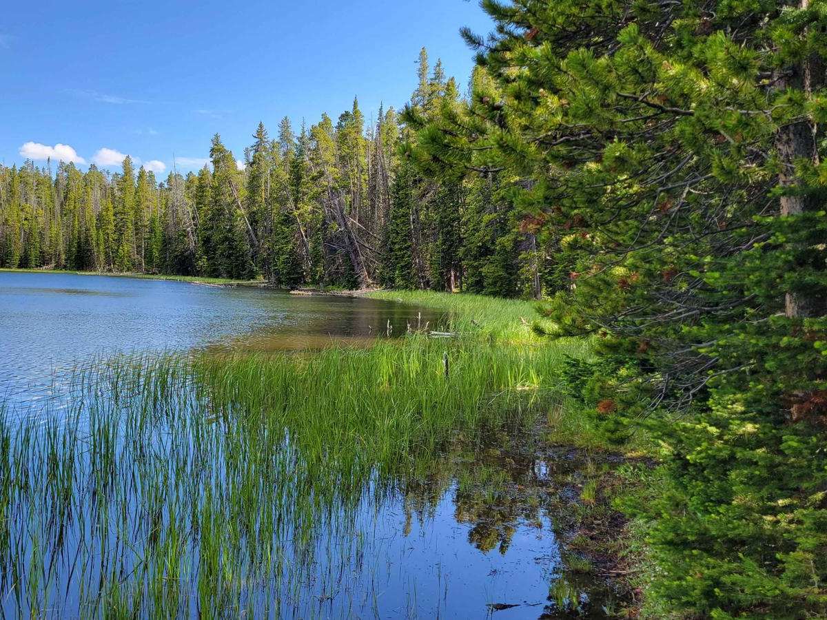 Duncan Lake photo 6