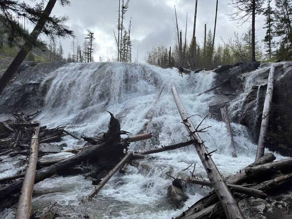 Sweathouse Creek trail photo