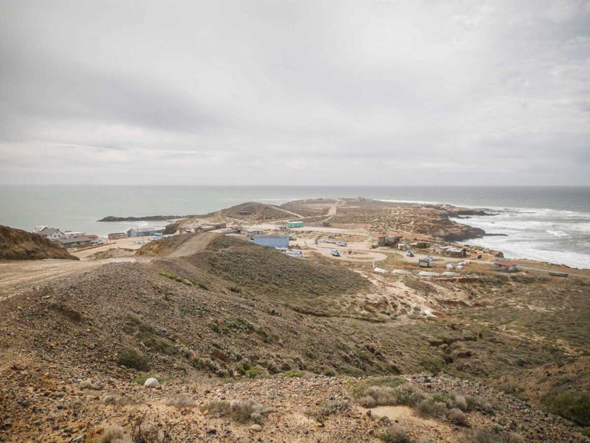 Punta Baja photo 2