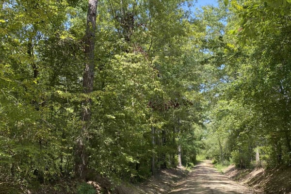 Clayton Holmes Rd
