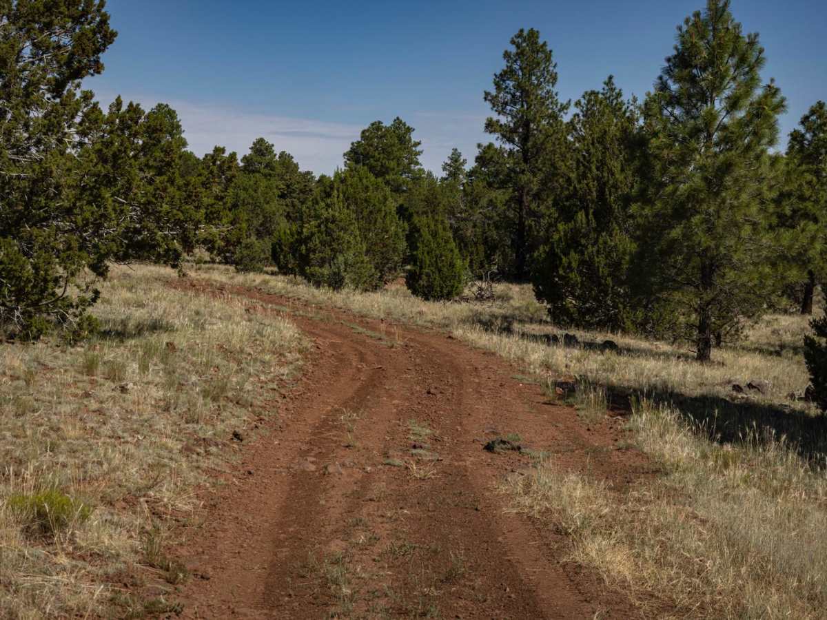 Red Lake to Pipeline photo 5