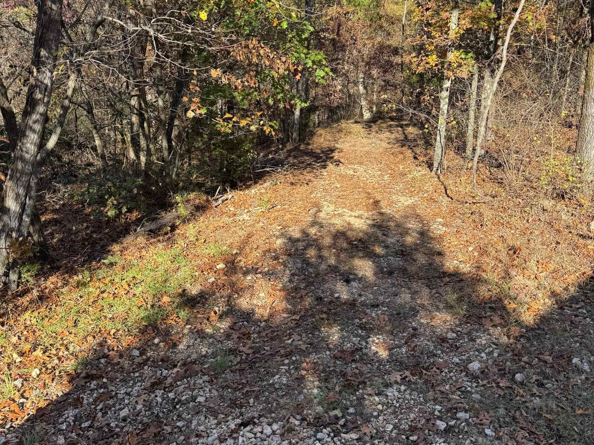 Green 140 trail photo