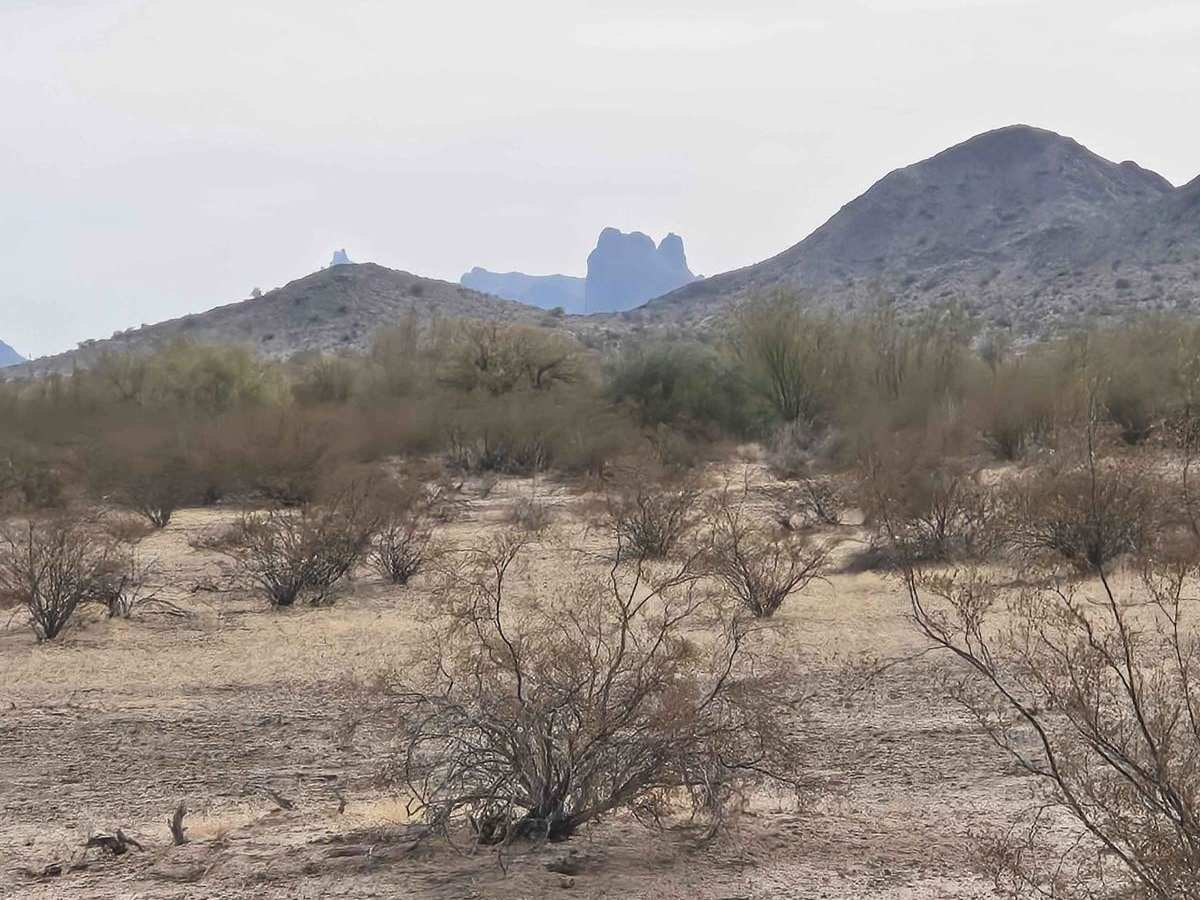 Pipeline to I-10 photo 5