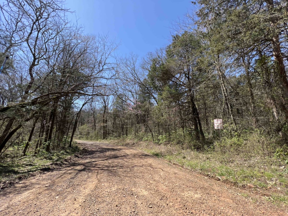 Lowder 1365 trail photo