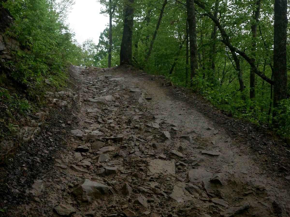 RH 40 trail photo