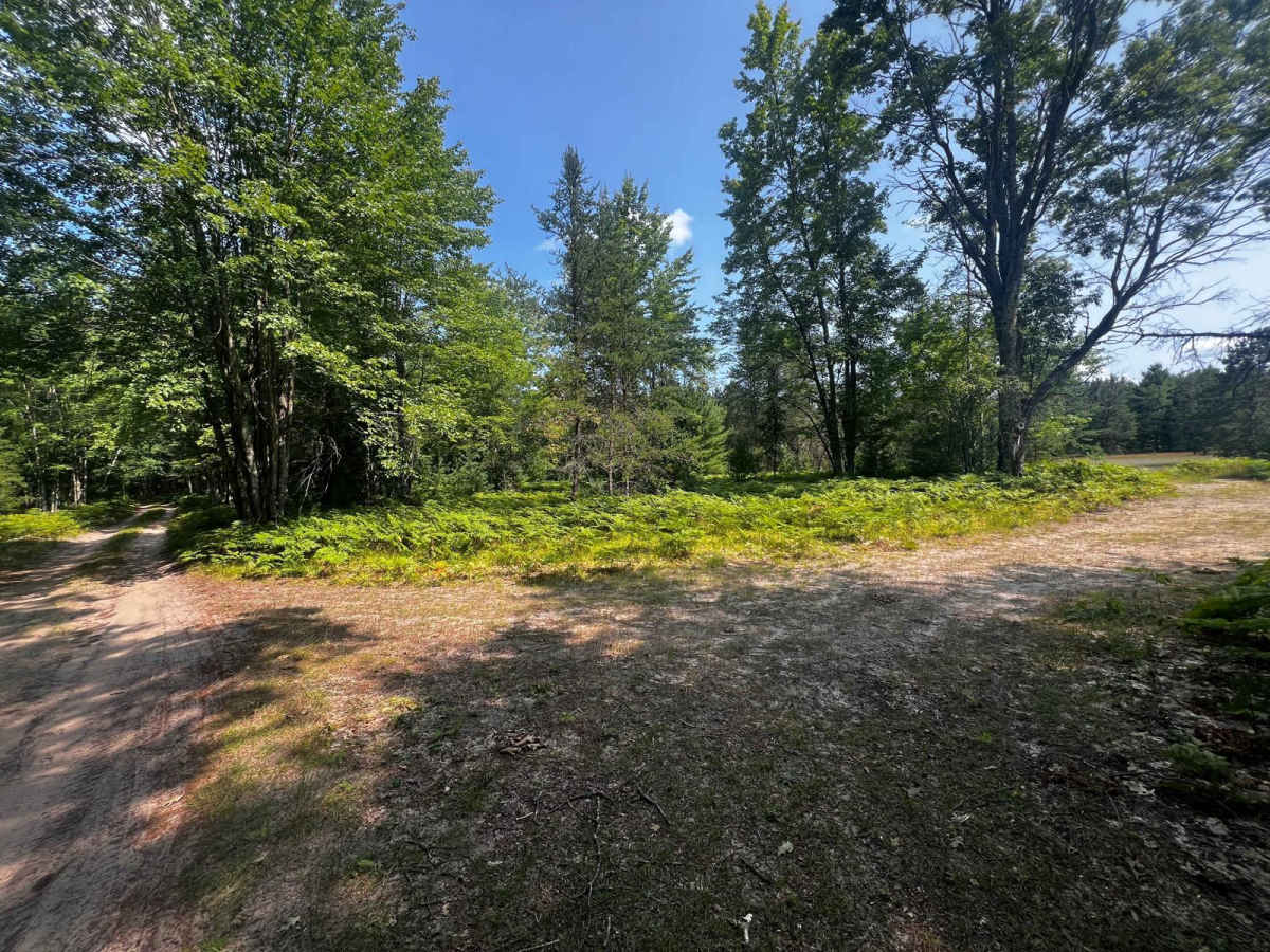 Blind Creek Trail photo 4