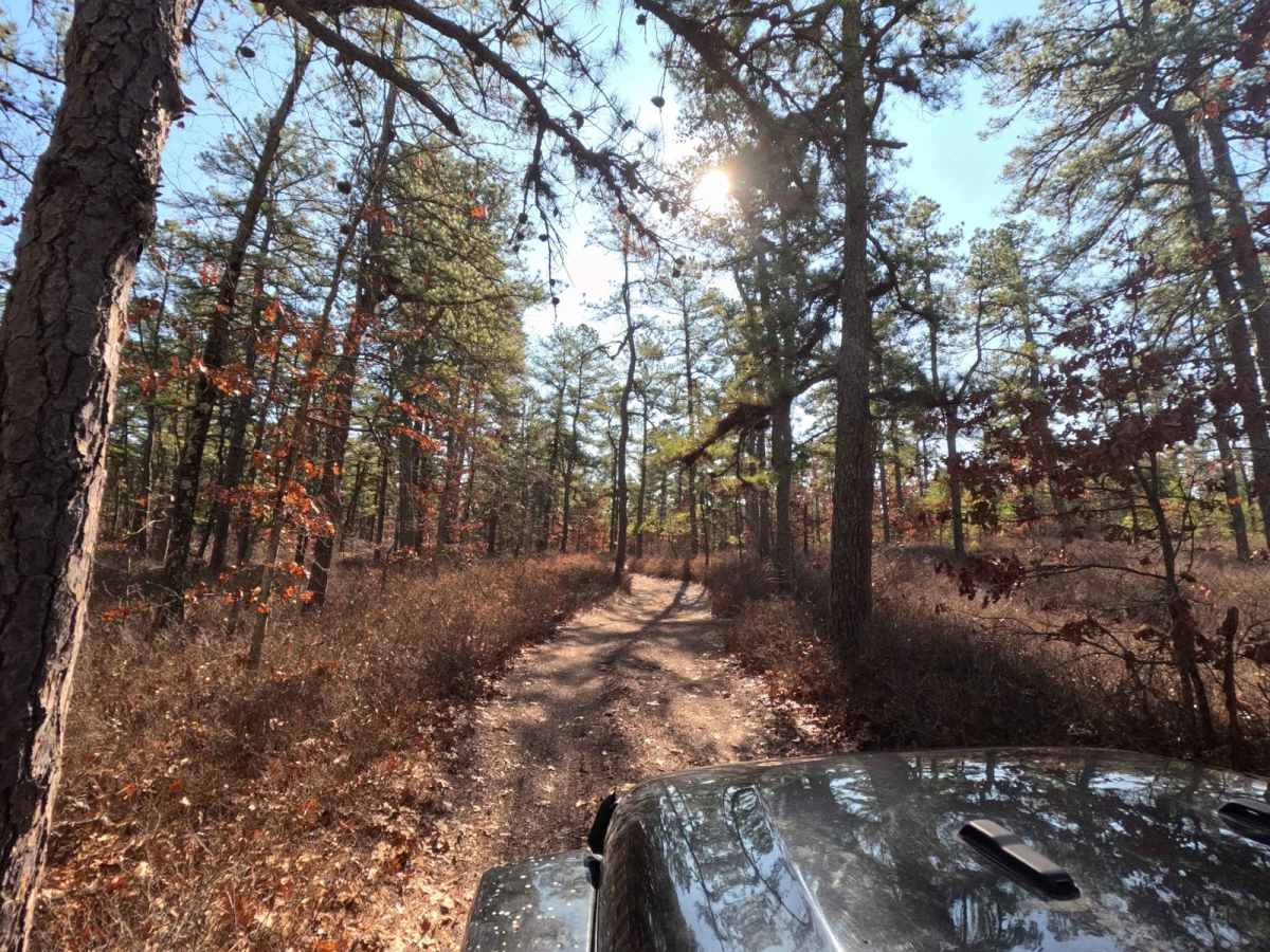 Hay Road trail photo
